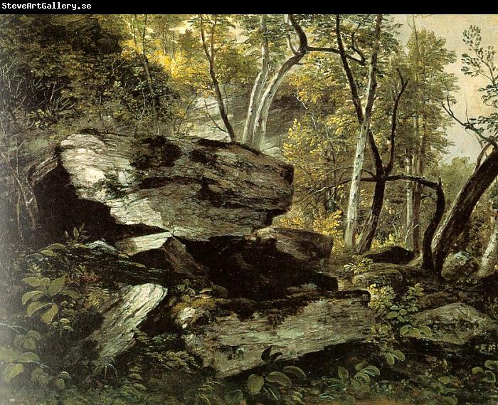 Asher Brown Durand Study from Rocks and Trees